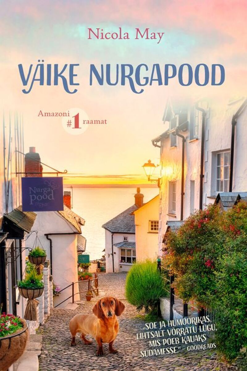Väike nurgapood (1. raamat)