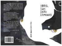 Poiss, kes nägi pimeduses