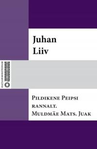 Pildikene Peipsi rannalt. Muldmäe Mats. Juak